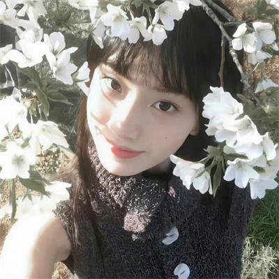 法兰西